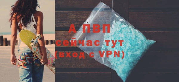 прущие грибы Усолье-Сибирское