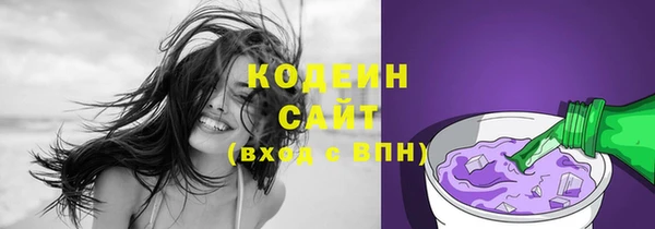 прущие грибы Усолье-Сибирское