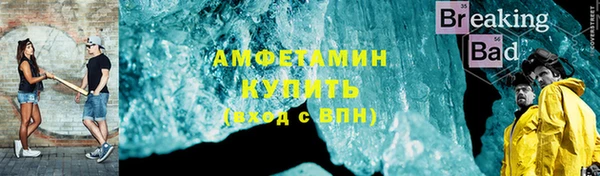 прущие грибы Усолье-Сибирское