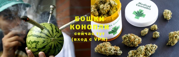 прущие грибы Усолье-Сибирское