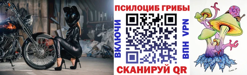 Галлюциногенные грибы мухоморы  Купить  Новопавловск 